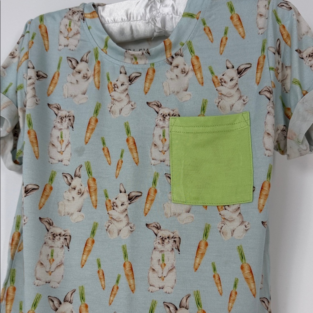 Lev Baby Tee Pete Tshirt  and Lime Pocket - 2/3T - Picture 3 of 7